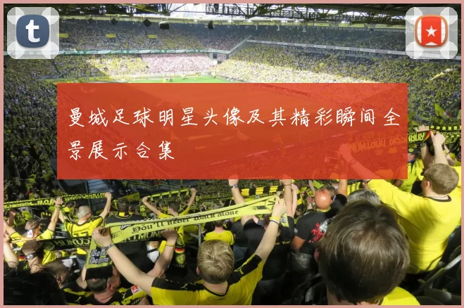 曼城足球明星头像及其精彩瞬间全景展示合集