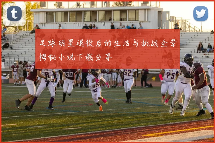 足球明星退役后的生活与挑战全景揭秘小说下载分享