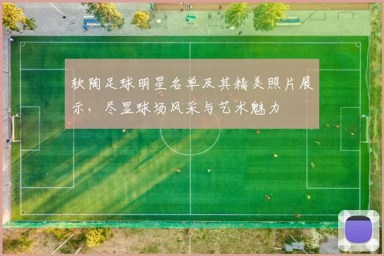软陶足球明星名单及其精美照片展示，尽显球场风采与艺术魅力
