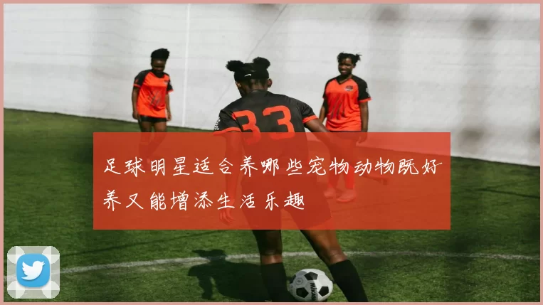 足球明星适合养哪些宠物动物既好养又能增添生活乐趣