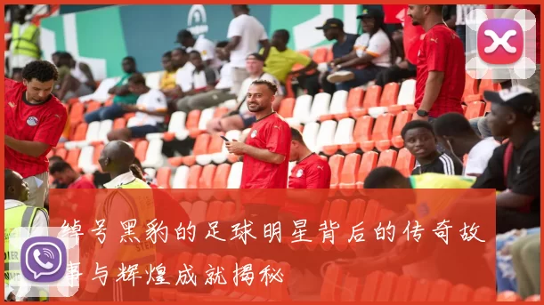 绰号黑豹的足球明星背后的传奇故事与辉煌成就揭秘
