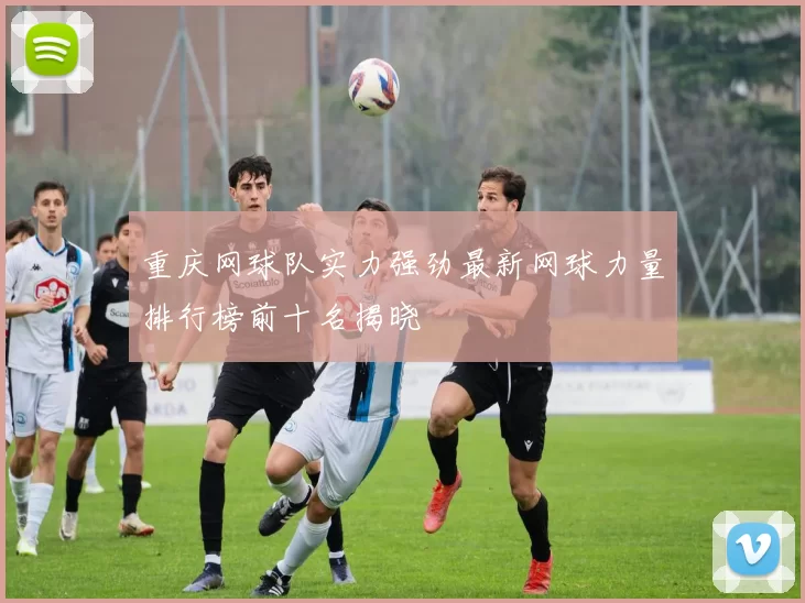重庆网球队实力强劲最新网球力量排行榜前十名揭晓