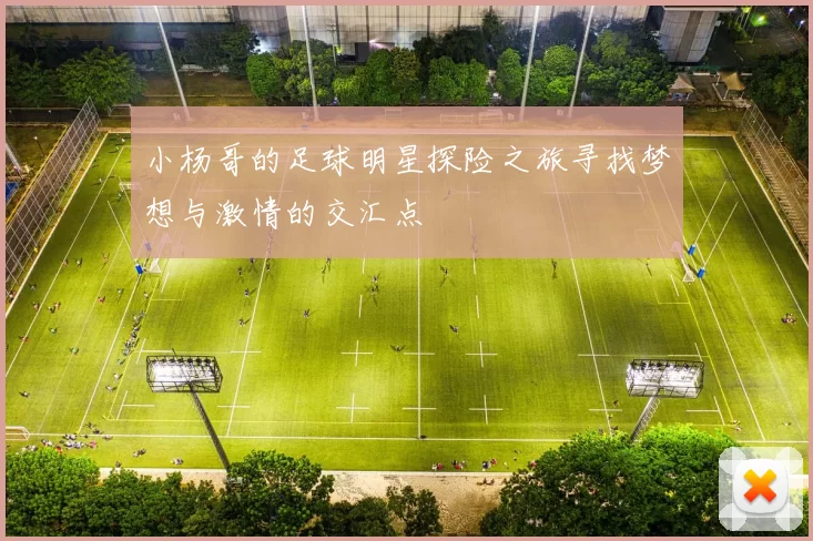 小杨哥的足球明星探险之旅寻找梦想与激情的交汇点