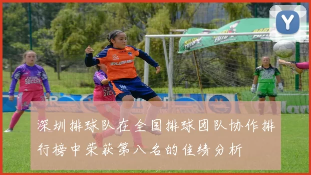 深圳排球队在全国排球团队协作排行榜中荣获第八名的佳绩分析