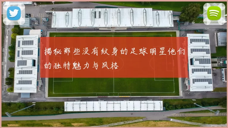 揭秘那些没有纹身的足球明星他们的独特魅力与风格