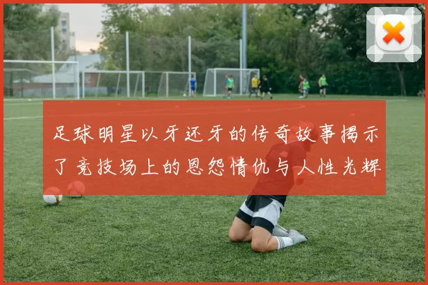 足球明星以牙还牙的传奇故事揭示了竞技场上的恩怨情仇与人性光辉