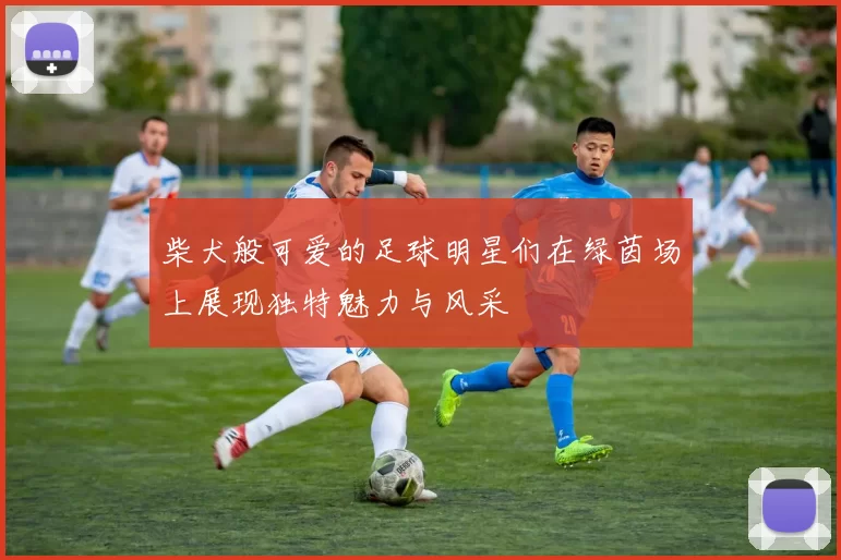 柴犬般可爱的足球明星们在绿茵场上展现独特魅力与风采