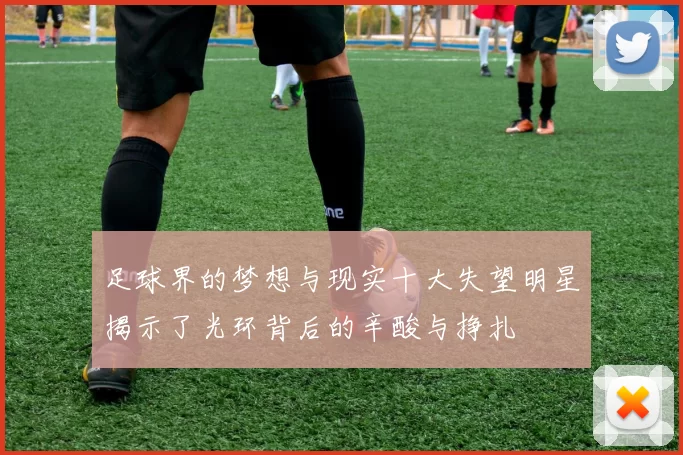 足球界的梦想与现实十大失望明星揭示了光环背后的辛酸与挣扎