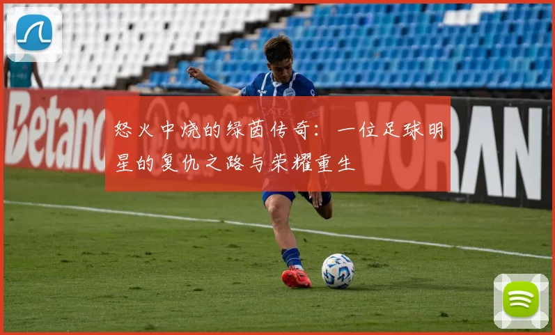 怒火中烧的绿茵传奇：一位足球明星的复仇之路与荣耀重生