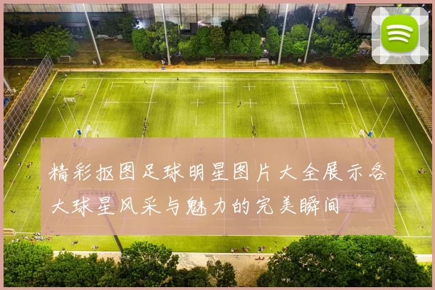 精彩抠图足球明星图片大全展示各大球星风采与魅力的完美瞬间